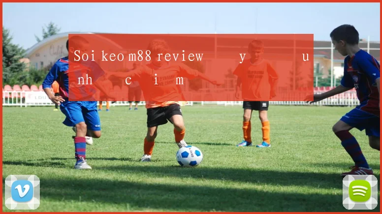 Soi keo m88 review đầy đủ ưu nhược điểm